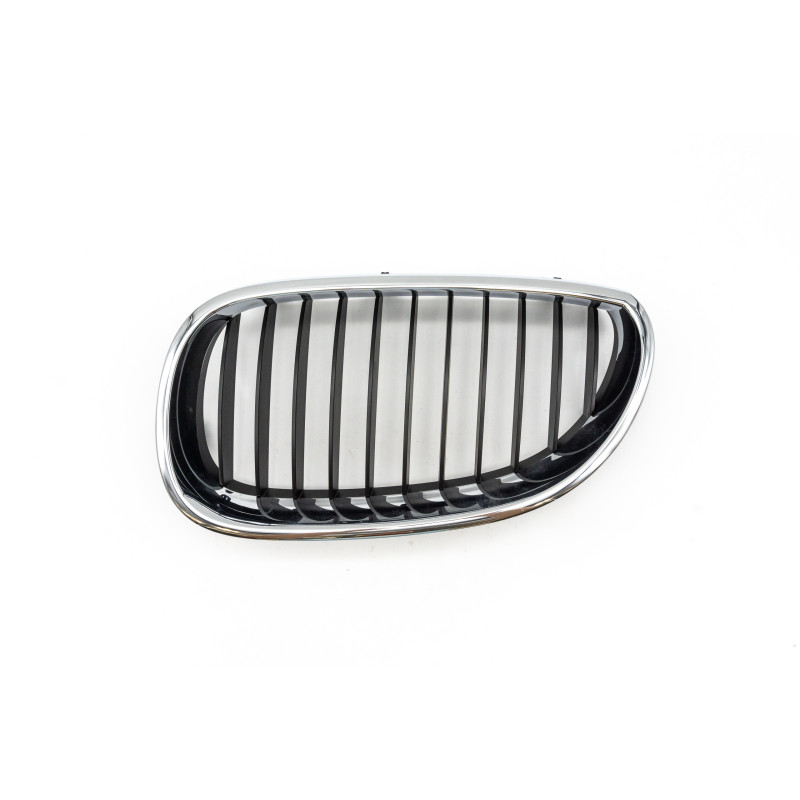 Attrappe, linke Niere BMW E60 Attrappe, linke Niere BMW E60
