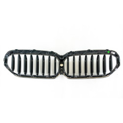 Frontverkleidung, Niere BMW G30