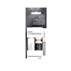 B61 Cool Champagne metallic MINI touch-up paint stick