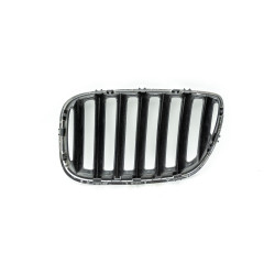 Decorative grille, right kidney, BMW E53