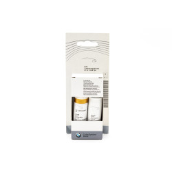 Lackstift Luminous Gold Metallic C2X BMW 2x12ml