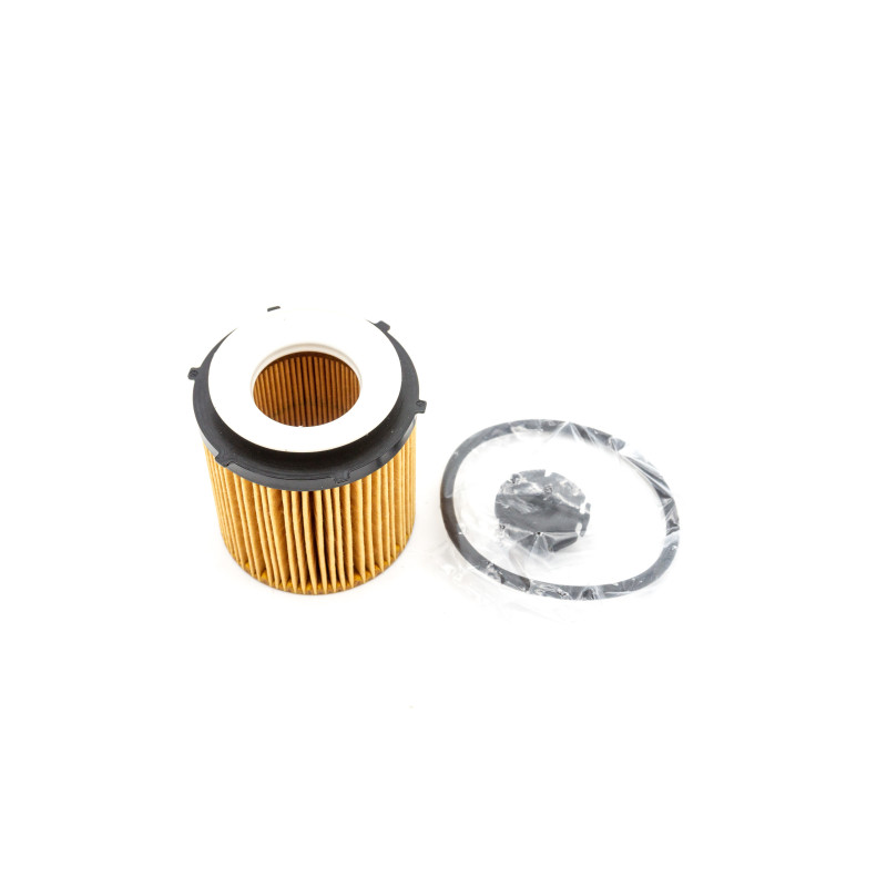 &Ouml;lfilterpatrone BMW F30 F10 F11 E84 E89