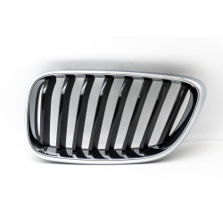 Kratka ozdobna nerka lewa...