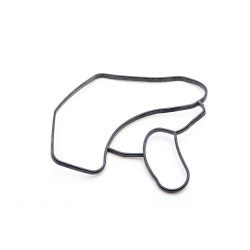 Uszczelka termostatu BMW G01 G02 G30 G32  11538475193