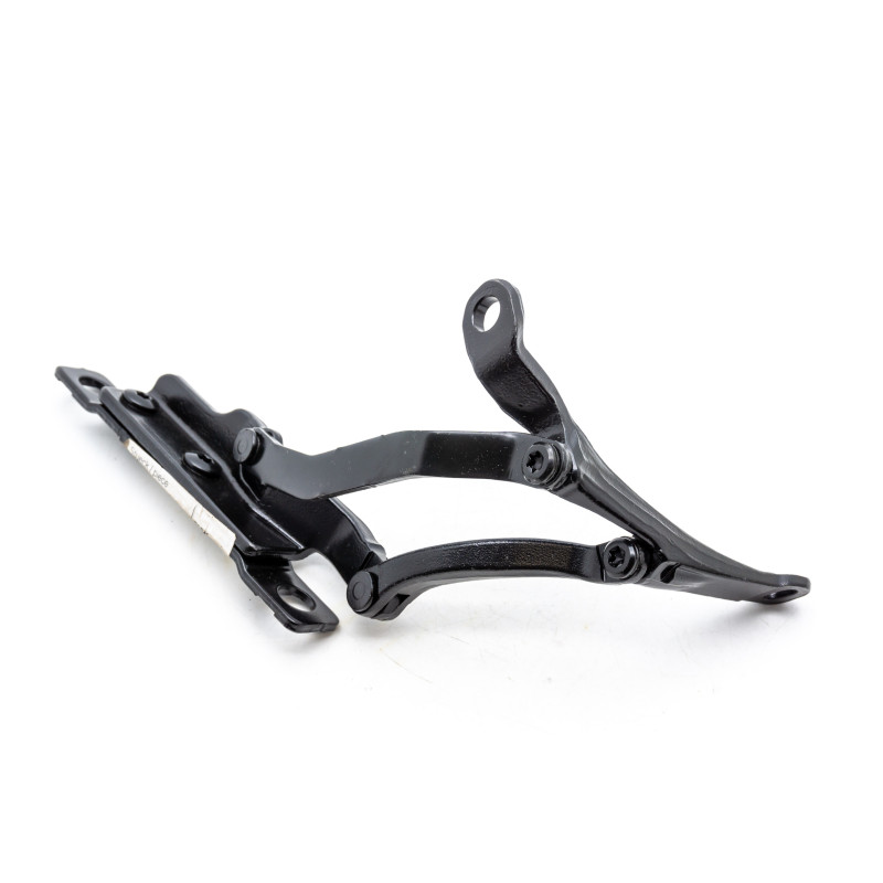 Heckklappenband links MINI R57