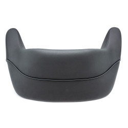 Passenger backrest for BMW R18 Honda Gold Wing GL1800