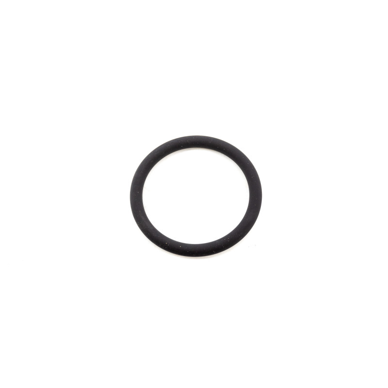 O-Ring f&uuml;r Turbine BMW E70 E71 F01 F07 F10 F11 N57S