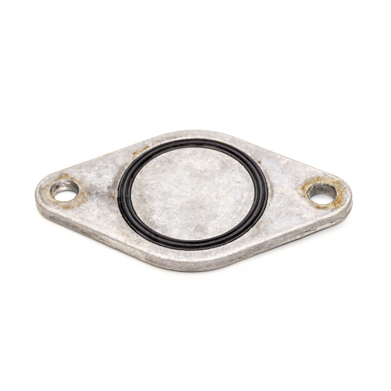 Blanking plate for MINI R50 R52 R53 pumps Blanking plate for MINI R50 R52 R53 pumps