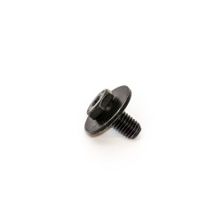 Screw with washer MINI R55 R56 R57 R58