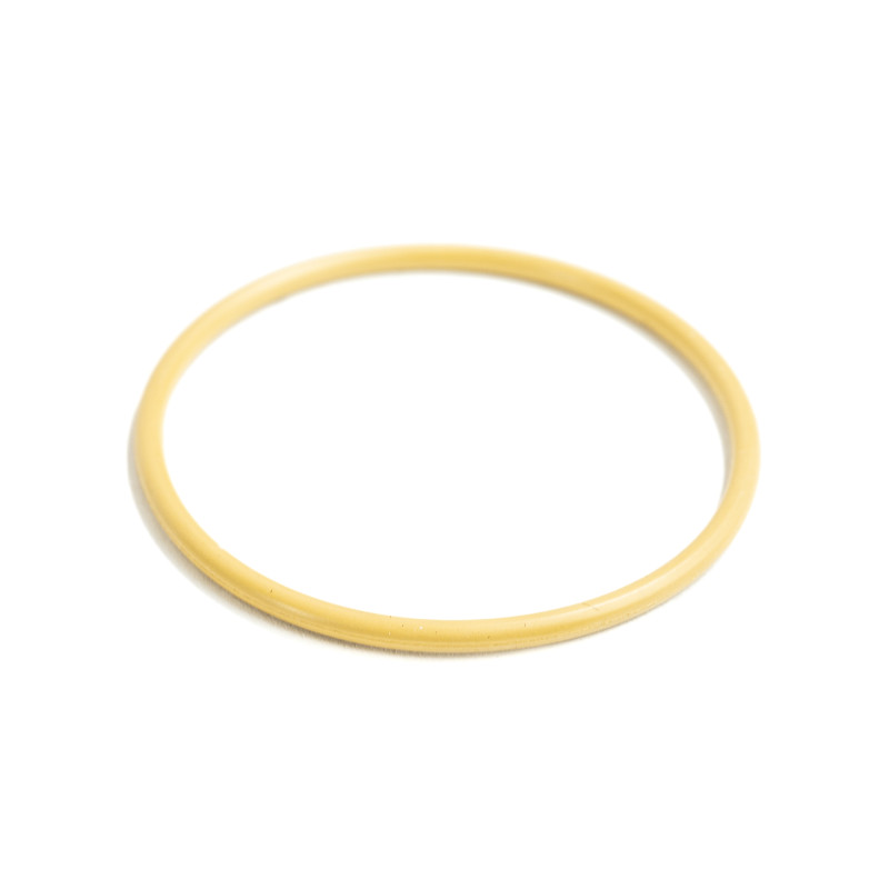 Dichtungsring BMW E70 E71 E72 F01 F02 F04 F06