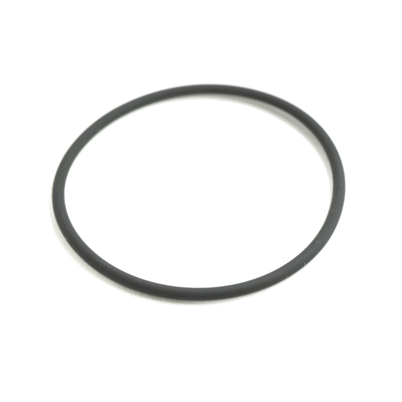 Pierścień uszczelniający BMW E53 E60 E61 E65 E66 E70 E81  11667509080