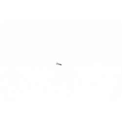Lens screw M2.5x10 BMW E36 E38 E39 E53