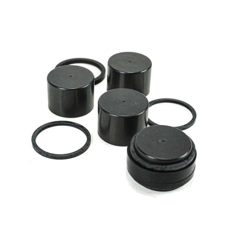 Komplet tłoczk&oacute;w hamulcowych z uszczelką BMW G310R G310GS C400X C400GT  34118569410