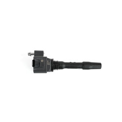 Zündspule BMW F20 F21 F22 F23 F30 F31 F32