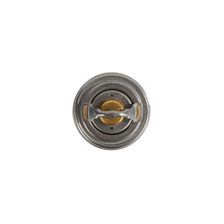 BMW HP4 S1000R RR XR thermostat