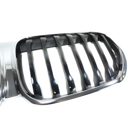 Ziergitter vorne BMW F48