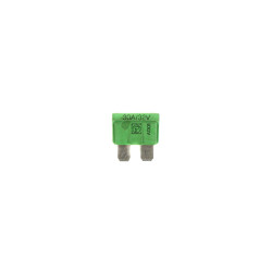 BMW E23 E24 E30 E31 E32 E34 E36 fuse