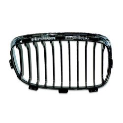 Ziergitter links BMW F20 F21