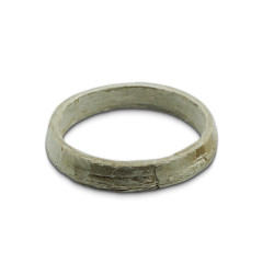 Sealing ring BMW E53