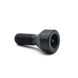 Radschraube mit Code BMW E46 E60 E64 E87 E91
