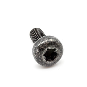 Lens screw BMW E70 E71 E72 F01 F02