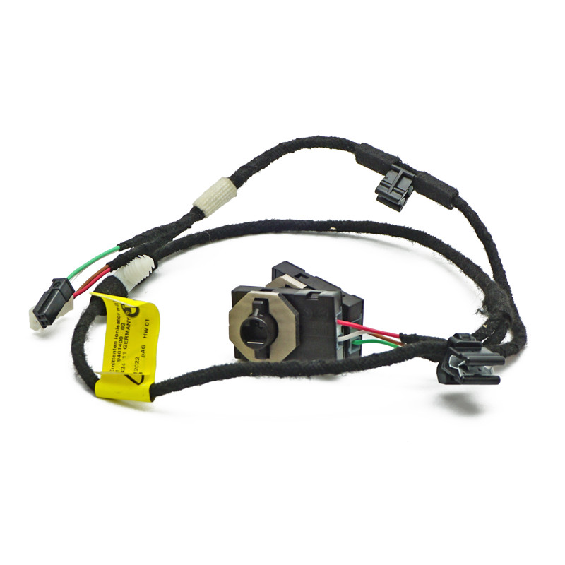 Jonizator BMW F96 G05 G06 G07