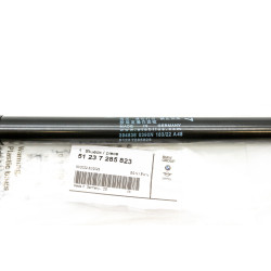 Siłownik teleskop gazowy...