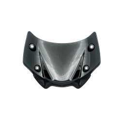 Get&ouml;nte Scheibe BMW R1250R