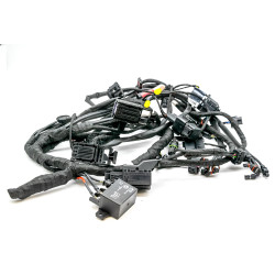Hauptkabelbaum BMW F700 F800