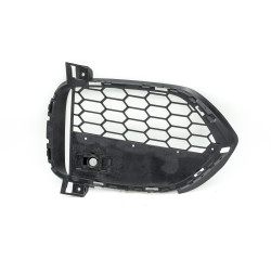 Lower grille of the front bumper of a BMW F12